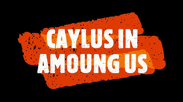 CAYLUS/INFINITE AMOUNG US CHARACTER!!!