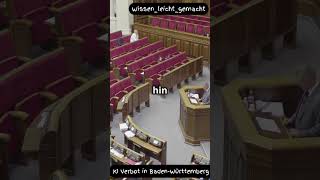 Sommerloch? So eine Kinderka..e . #news #viralvideo #foryou #facts #fypシ #bundestag #deutschland 