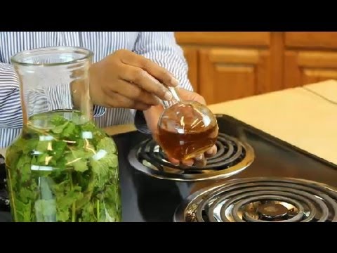 how-to-make-mint-vodka-:-recipes-with-mint