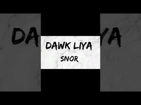 Music snor dawk liya