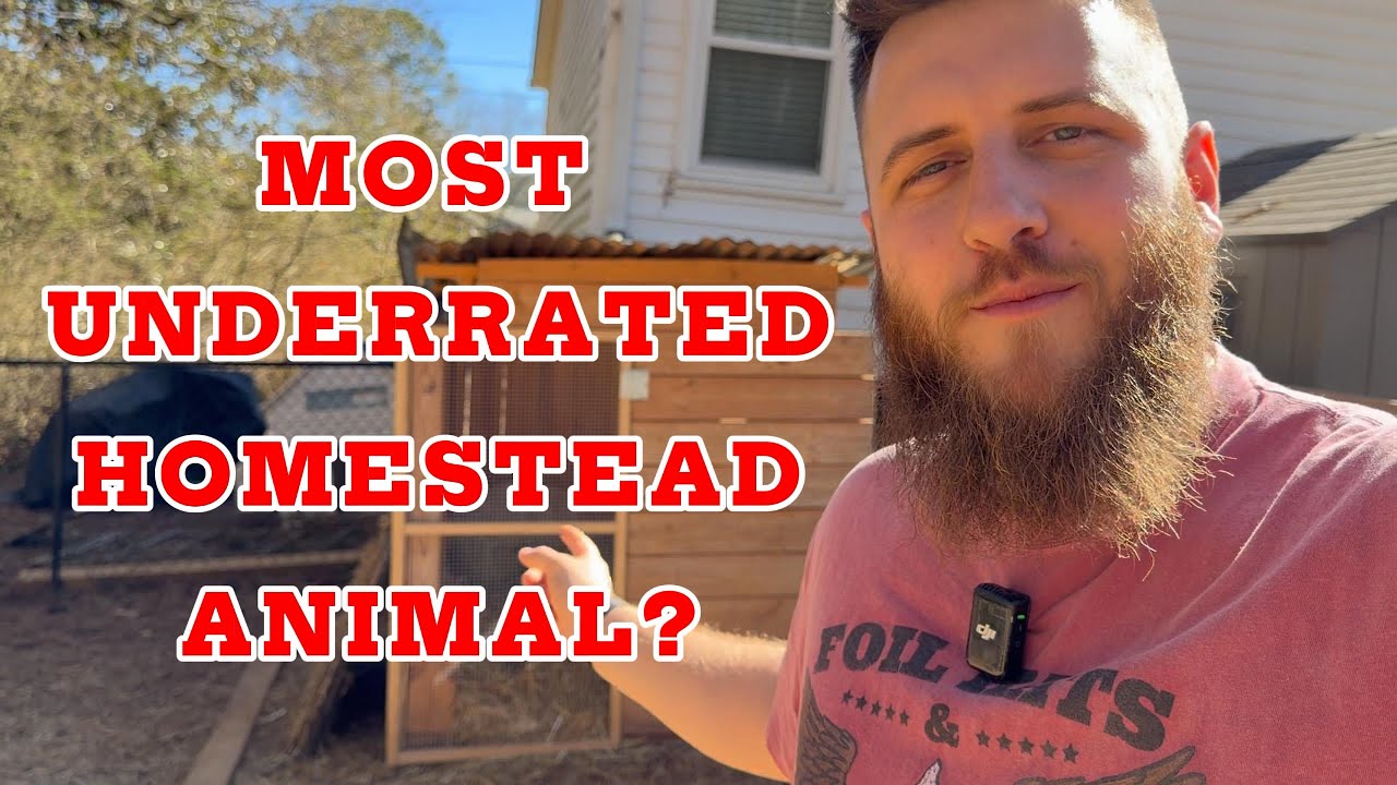 Это животное вам НЕОБХОДИМО на вашем участке.