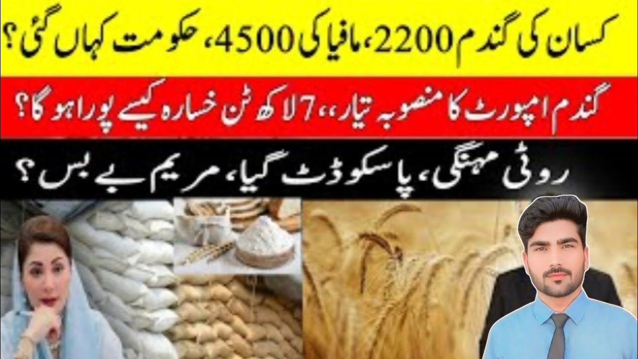 Pakistan Facing Wheat Crisis: Imports, Shortage and Wheat Rates in Major Cities