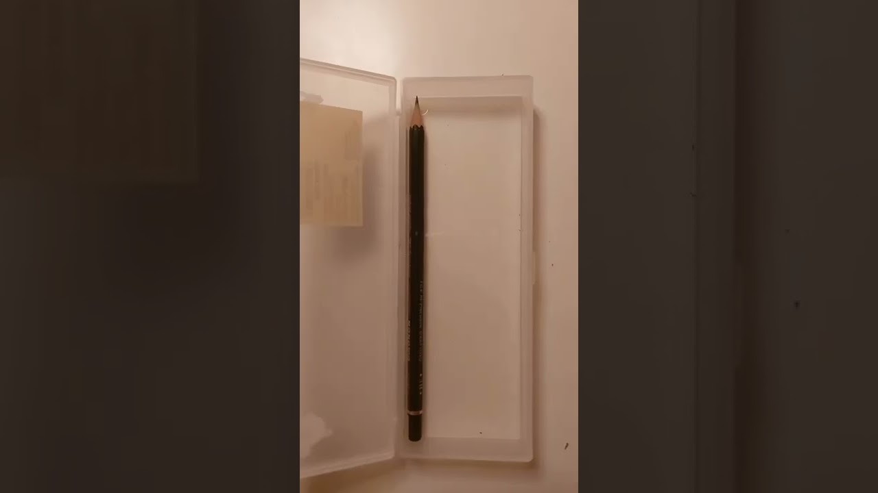 Pencil Case Tiktok blehthatsweird YouTube