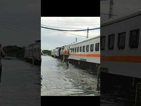 ↗️KA Kertajaya nataru tambahan melintasi banjir Semarang #keretaapi