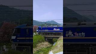 貨物列車【1051レ】カラフルコンテナ搭載🟩🟦😸🦘🟧 2025/07/10🍑 EF210-333 #福山市 #railway