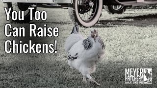You Too Can Raise Chickens! - Place Your 2026 Meyer Hatchery Order Today!