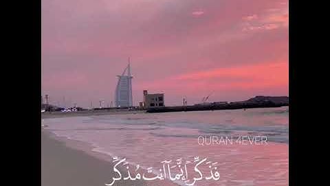 حالات واتس اب بصوت القارئ عبد الرحمن مسعد 🥺(أفلا ينظرون إلى الإبل كيف خلقت ) تصاميم قرآن💛🥺