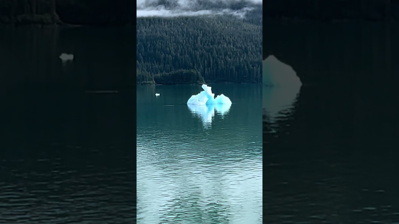 Icebergs and Eagles #alaska #iceberg #cruise #eagles