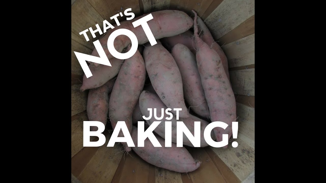 sweet potato recipe for baby How to Use Sweet Potatoes