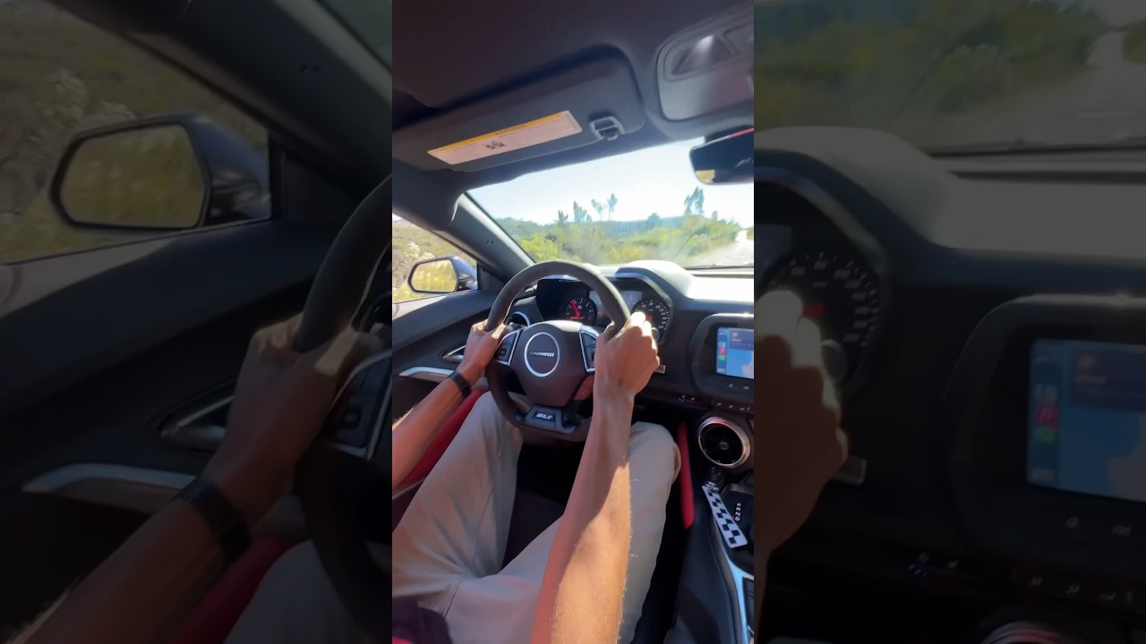 You NEED this ZL1 in your life! 