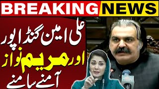 Ali Amin Gandapur Harsh Language Use Against Maryam Nawaz | PMLN Strong Reaction | Capital Tv