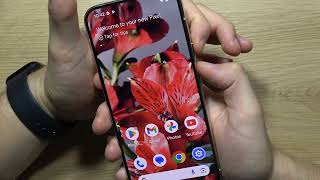 How to Soft Reset GOOGLE Pixel 9 Pro screenshot 3