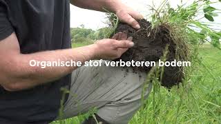 Kringlooptip 12 Organische Stof Verbeteren In De Bodem