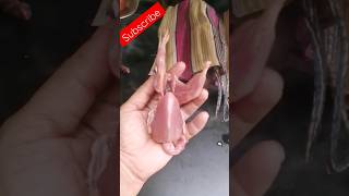 Bater  Cutting Style   shorts subscribe birds