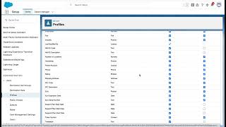 Famous Control Access to Fields Profile