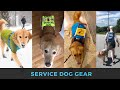 SERVICE DOG GEAR HAUL | Guide Dog Edition