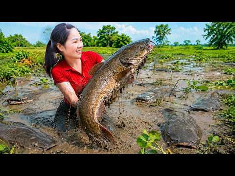 Harvesting Giant Monster Catfish from a Hidden Swamp | Catching Huge Fish by Hand to Sell at Market!