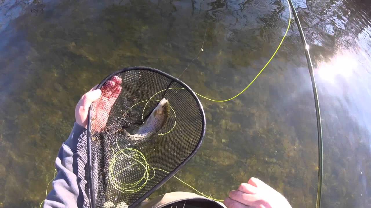 #3 - Fishing the Holston River TN - Fishing the top 100 Trout Streams in America
