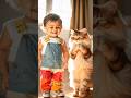 The Most Adorable Cat & Baby Moments #kitten #shorts #cat #funny #viralvideo