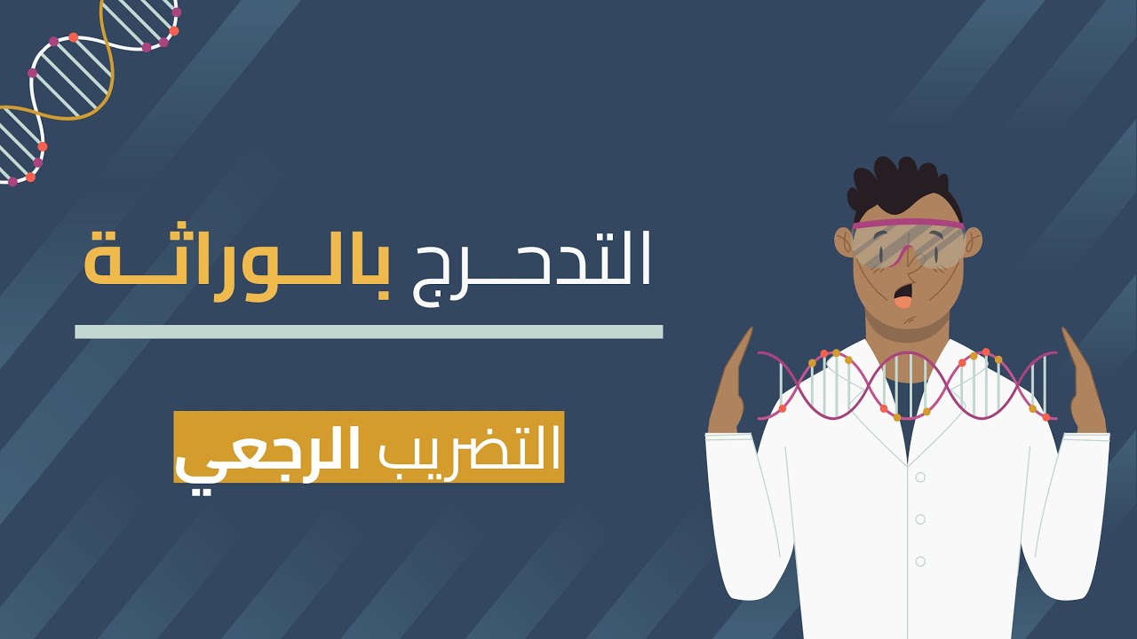 التدحرج بالوراثة | التضريب الرجعي