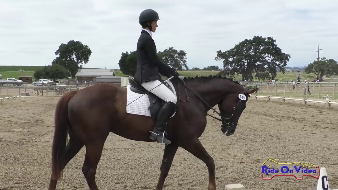 horseshoe bend 149D Natalie Billings on Velvet Thunder Intro Dressage Shepherd Ranch June 2019