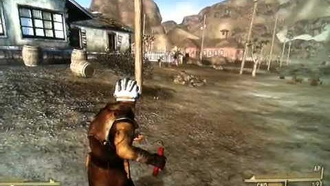 Fall out new Vegas bug