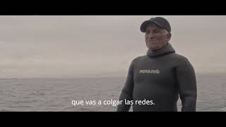 Isla Grande de Atacama, un legado de biodiversidad histórica y de conservación | El mar