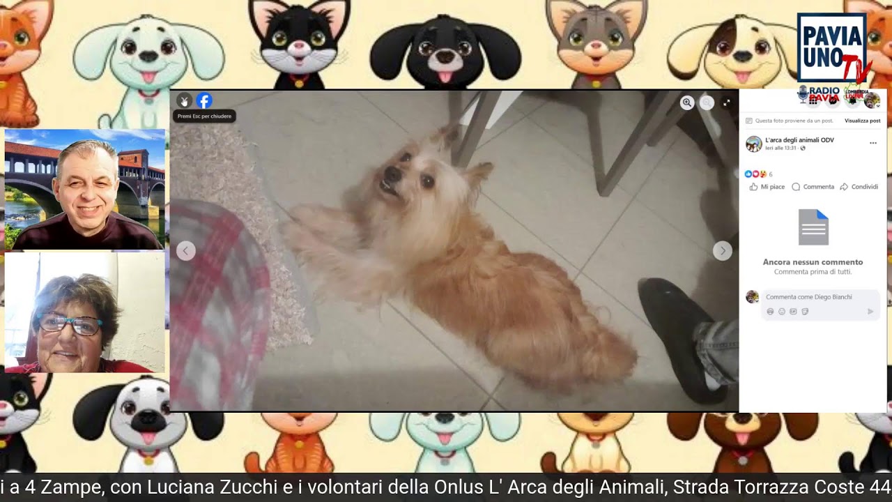 Amici a 4 Zampe - 18 Gennaio 2026