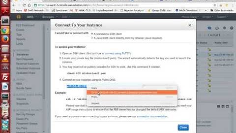 Install apache2 web server and mysql database server on Ubuntu  Trusty Tahr dcoker containers