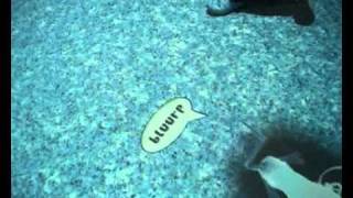 Podloga Interaktywna I3D