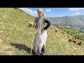 IRAN nomadic life | daily routine village life of Iran