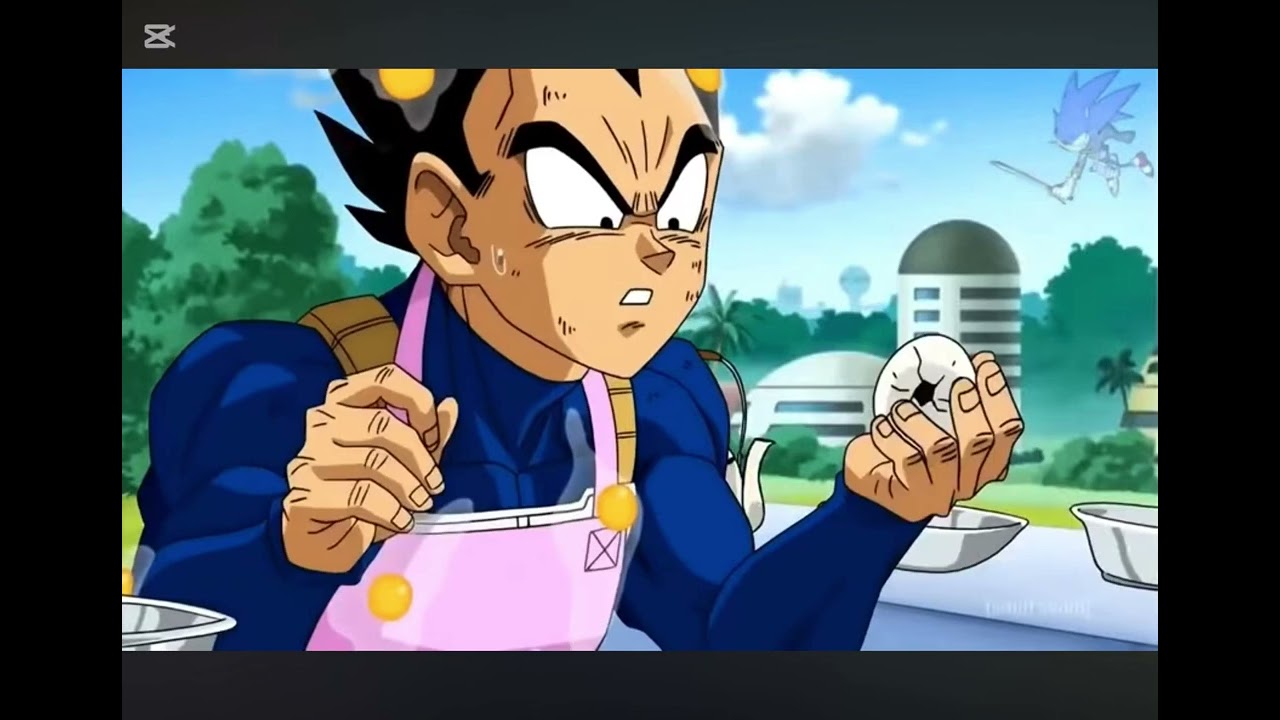 Dragon Ball Z funny moments