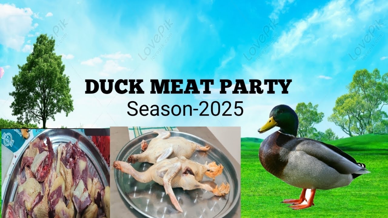 DUCK MEAT PARTY Season-2025 #