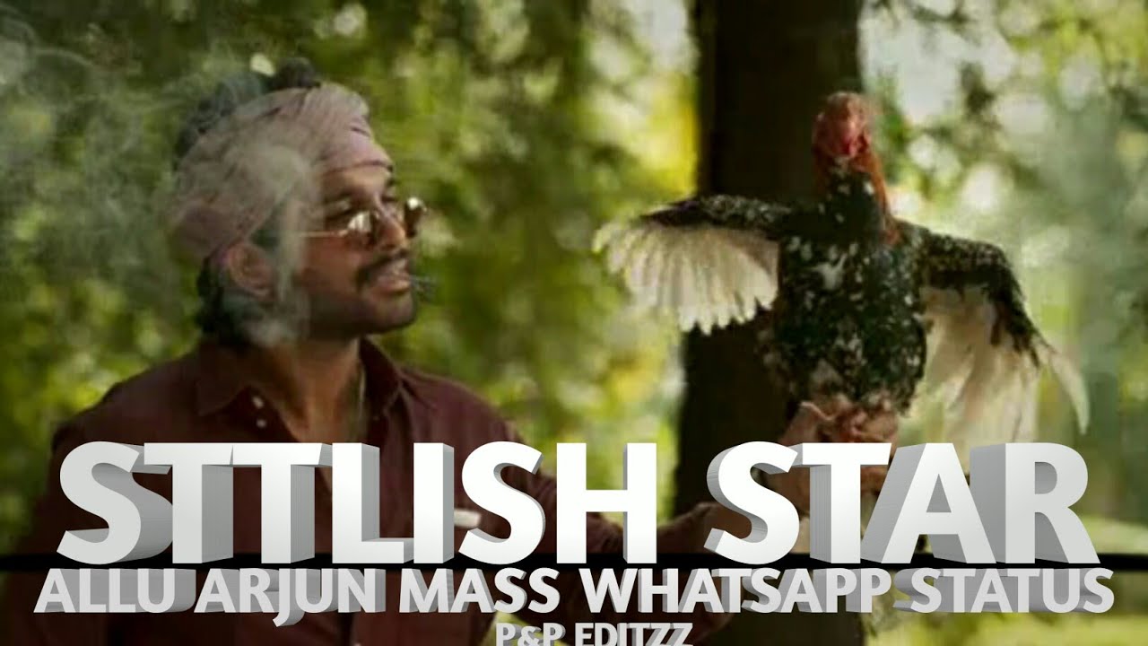 STYLISH STAR ALLU ARJUN | MASS WHATSAPP STATUS | P&P EDITZZ