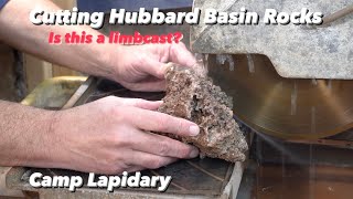 Is this a Fossil Limbcast? Cutting Hubbard Basin, Nevada Rockhounding Finds. by Camp Lapidary 659 views 3 months ago 11 minutes, 52 seconds