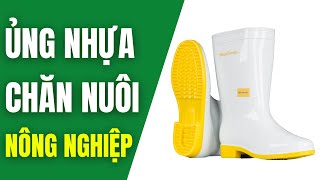 Ủng Nhựa Chăn Nuôi, Làm Vườn | Ủng Nhựa Dùng Trong Trang Trại, Chăn Nuôi Heo, Lợn, Gà 0865.808.196