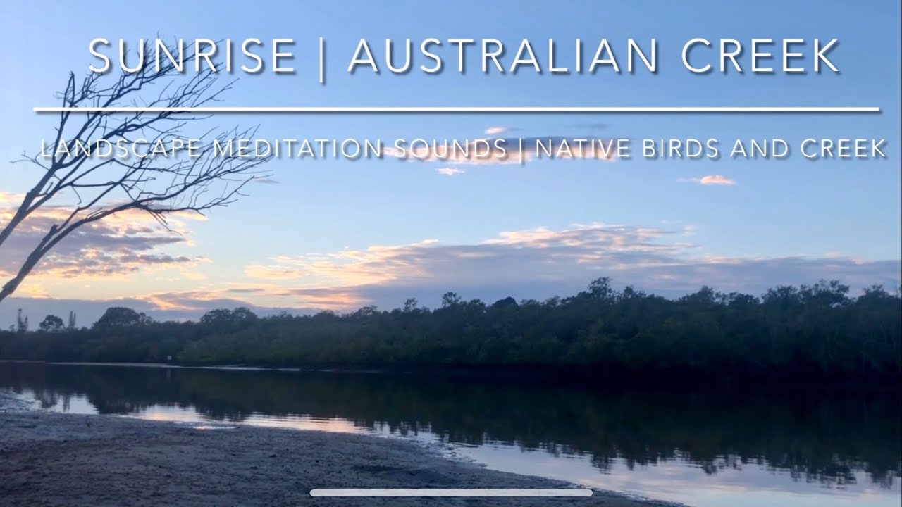 Sunrise Meditation | Morning Nature Sounds | White Noise | Australian Bush