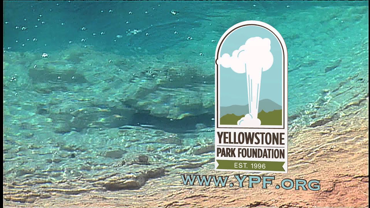 Yellowstone Park Foundation 2013