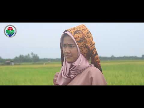 PID Kecamatan Ranah Ampek Hulu Tapan