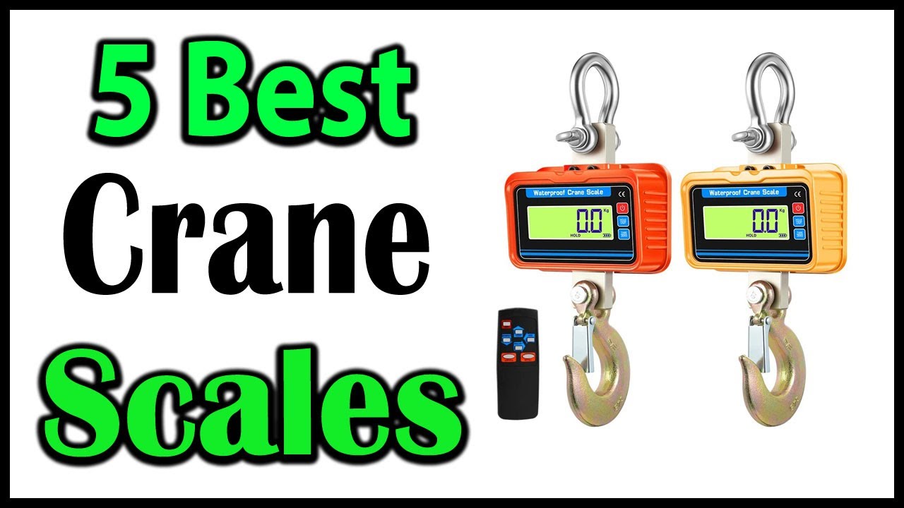 TOP 5 Best Digital Crane Scales Review 2025