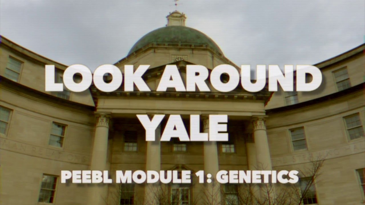 Look Around Yale: Genetics