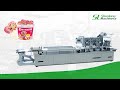 SL Machinery |  Full Servo Driven Cereal Nut Chocolate Coated Lollipop Blister Packing Machine