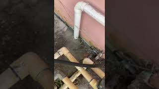 Yunier/ Mily Batista 3201 nw 175th st Miami Gardens 33056 Yunier/ Mily Batista 3201 nw 175th st Miami Gardens 33056