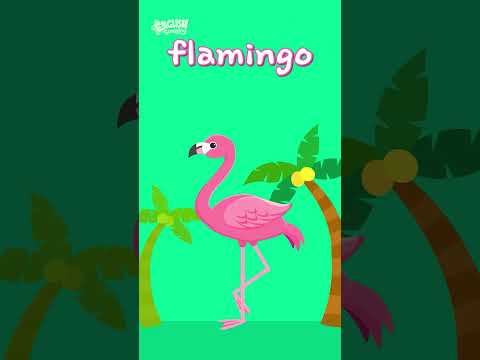 <strong>Hi</strong>~ We are flying animals🐦