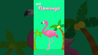 hi we are flying animals