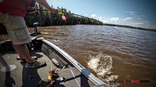 Top Musky Lures for the Summer Months