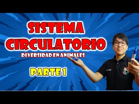 [ BIOLOGÍA FREE ] - CIRCULACION EN ANIMALES | Diversidad ❤ 👉😍🌿