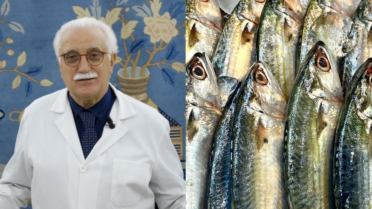 Fake news sul cibo, "Tutto il pesce è pieno di mercurio?": la risposta dell'esperto