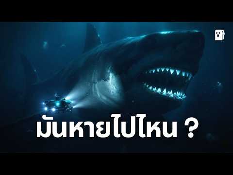 พิสูจน์ความจริง! "เมกะโลดอน" อสูรกายใต้ทะเลลึก สรุปแล้วยังอยู่หรือสูญพันธุ์ไปแล้ว? | เสียงจากไดอารี่