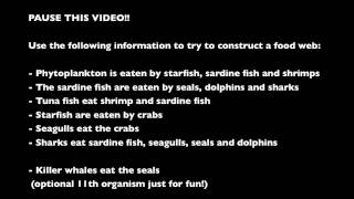 5.1.8 Construct a food web containing up to 10 organisms
